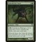 Darkthicket Wolf