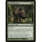 Festerhide Boar