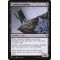 Cauldron Familiar