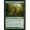 Satyr Grovedancer