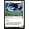 Skyswirl Harrier