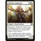 Visionary Augmenter