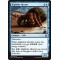Hightide Hermit