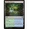 Woodland Stream