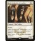 High Sentinels of Arashin