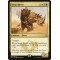 Siege Rhino