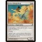 Avian Changeling