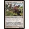 Goldmeadow Stalwart