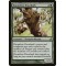 Dauntless Dourbark