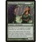 Immaculate Magistrate