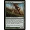 Seedguide Ash