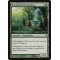 Woodland Changeling