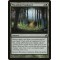 Woodland Guidance
