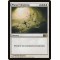 Planar Cleansing