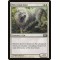 Silvercoat Lion