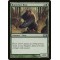Runeclaw Bear