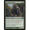 Stampeding Rhino