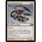 Stormfront Pegasus