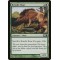 Brindle Boar