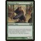 Runeclaw Bear