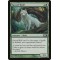 Sacred Wolf
