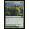 Yavimaya Wurm