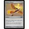 Angel's Feather