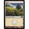 Plains
