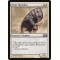 Siege Mastodon