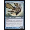 Aven Fleetwing