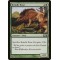 Brindle Boar