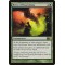 Rites of Flourishing
