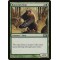Runeclaw Bear