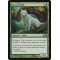 Sacred Wolf