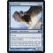 Arctic Aven