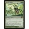 Silklash Spider