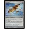 Kitesail