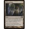 Evolving Wilds