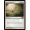 Planar Cleansing