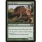 Brindle Boar