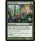 Into the Wilds