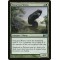 Voracious Wurm