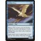 Welkin Tern