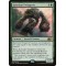 Kalonian Twingrove