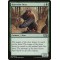 Runeclaw Bear