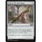 Staff of the Wild Magus