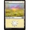 Plains
