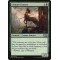 Centaur Courser