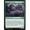 Thornhide Wolves