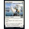 Loyal Pegasus